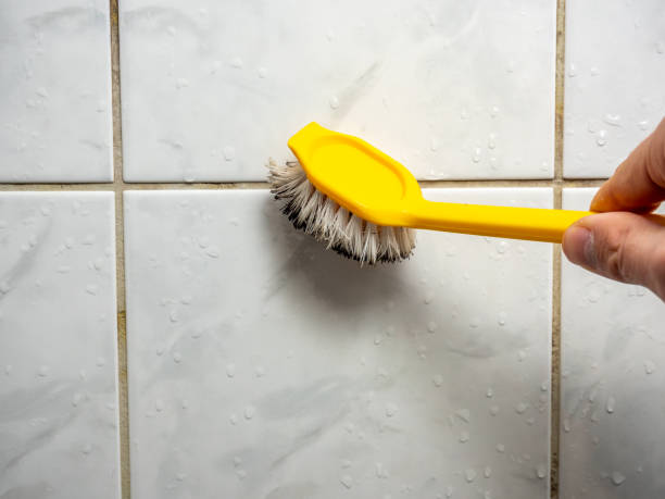 Best Attic Mold Removal  in Kelso, WA
