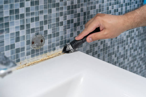 Best Black Mold Removal  in Kelso, WA